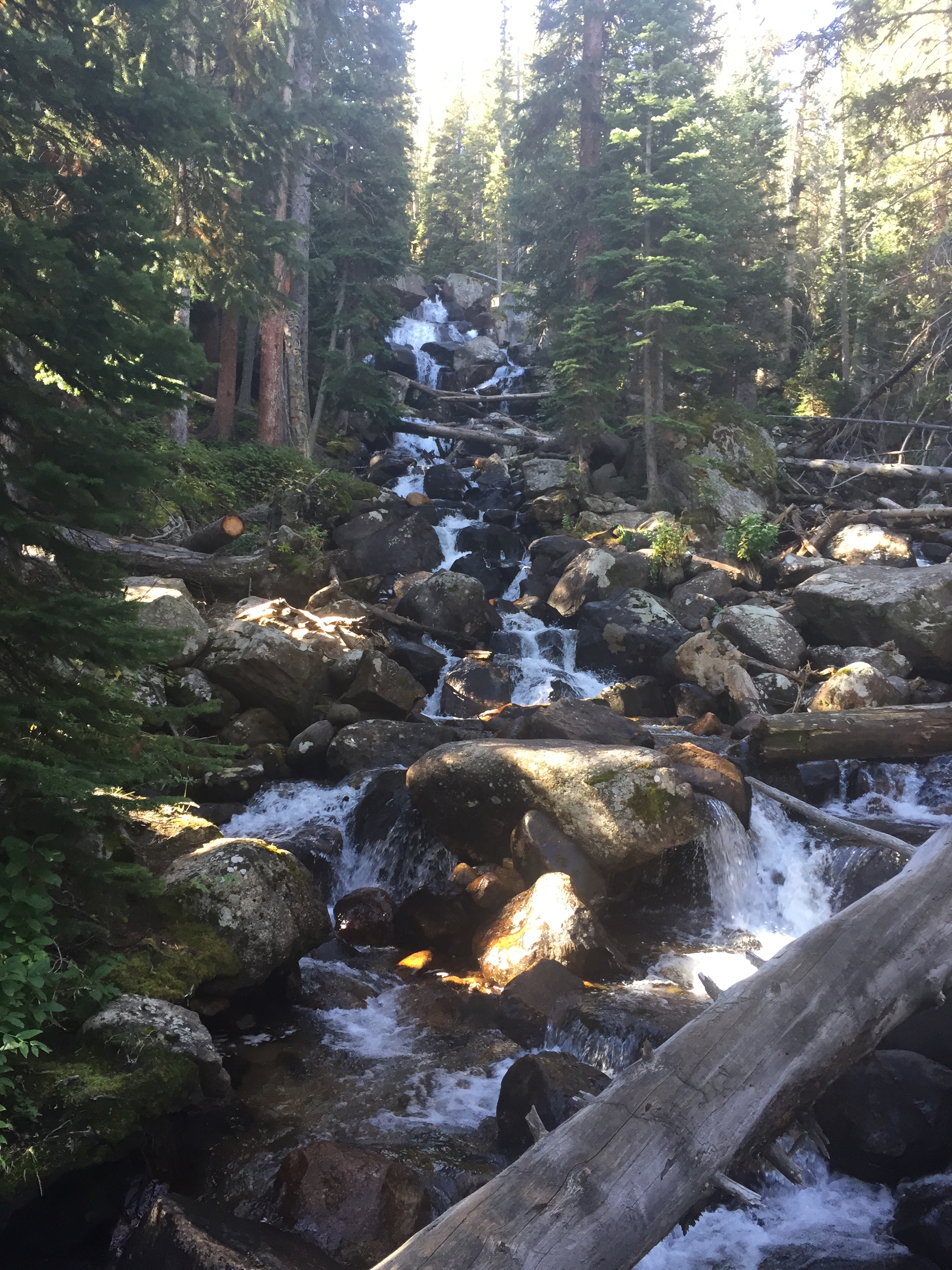 Calypso Cascades Rocky Mountain National Park Wild Basin