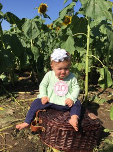 Not sure what to think of sunflowers?