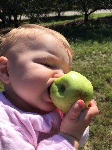 An Apple a Day