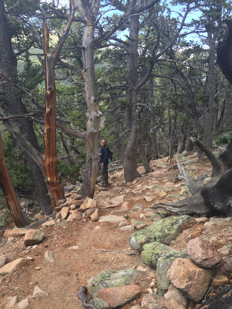 Looking back down towards my husband and baby on steep trail