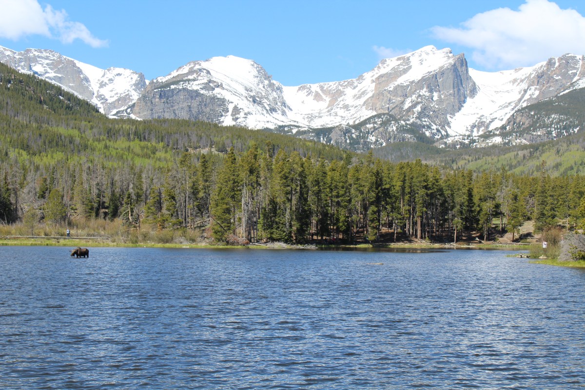 Moose Spotting Makes for a Memerable Morning Hike Around Sprague&nbsp;Lake