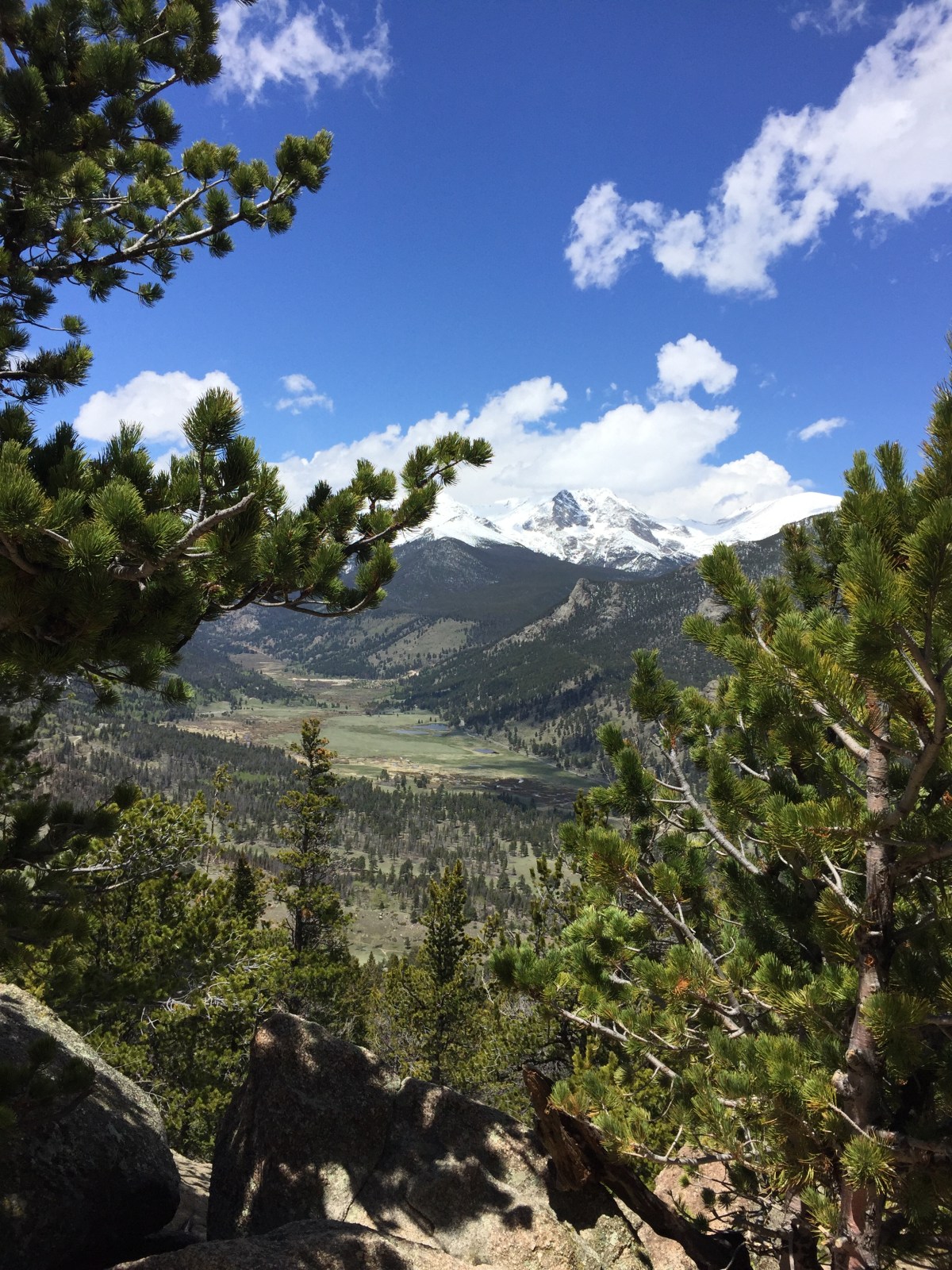 Deer Mountain – a Family Friendly Summit Hike in Rocky Mountain National&nbsp;Park