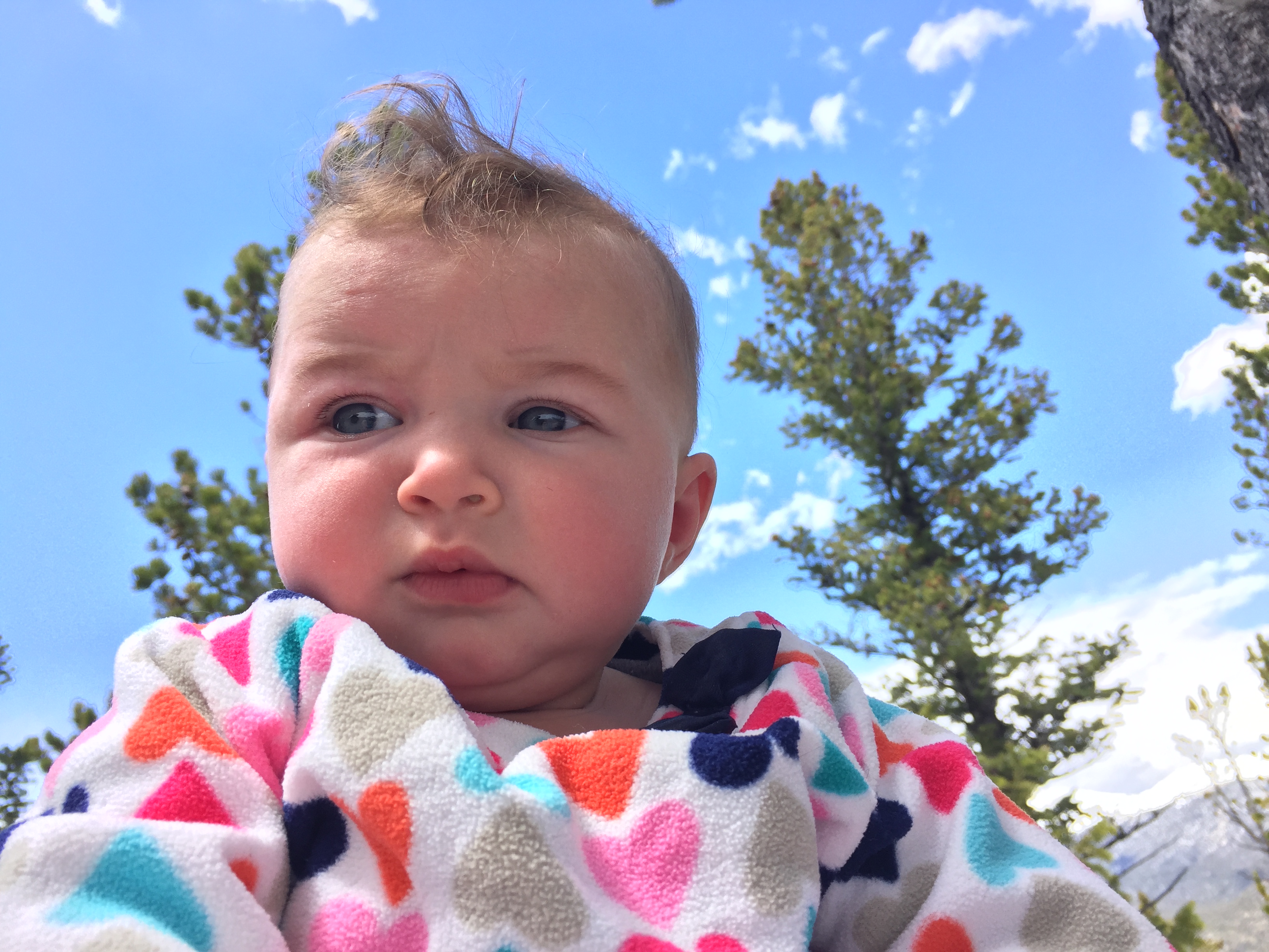 Hiking Deer Mountain