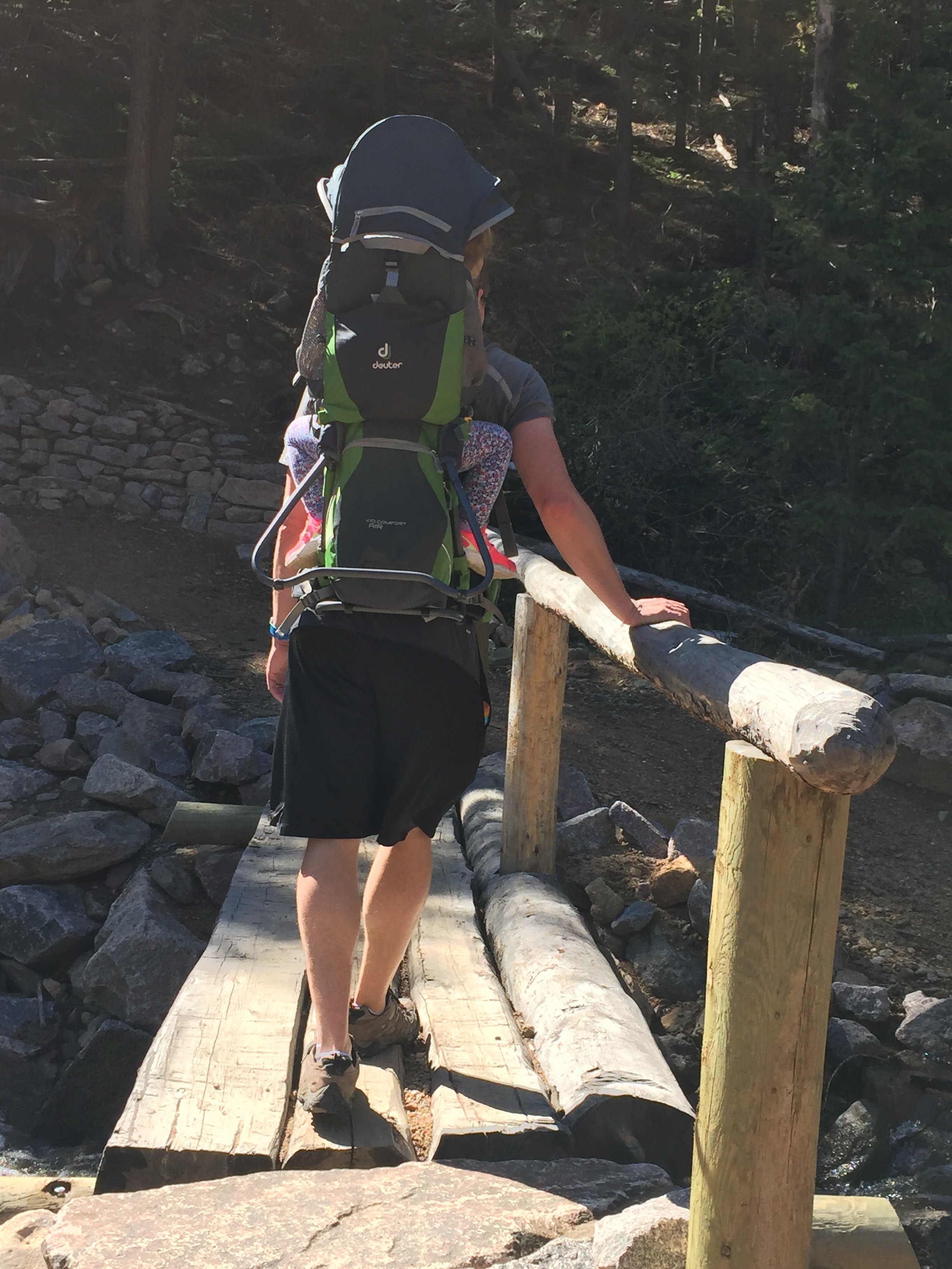 Homer Rouse trail, dog friendly hiking trail in Estes Park, CO