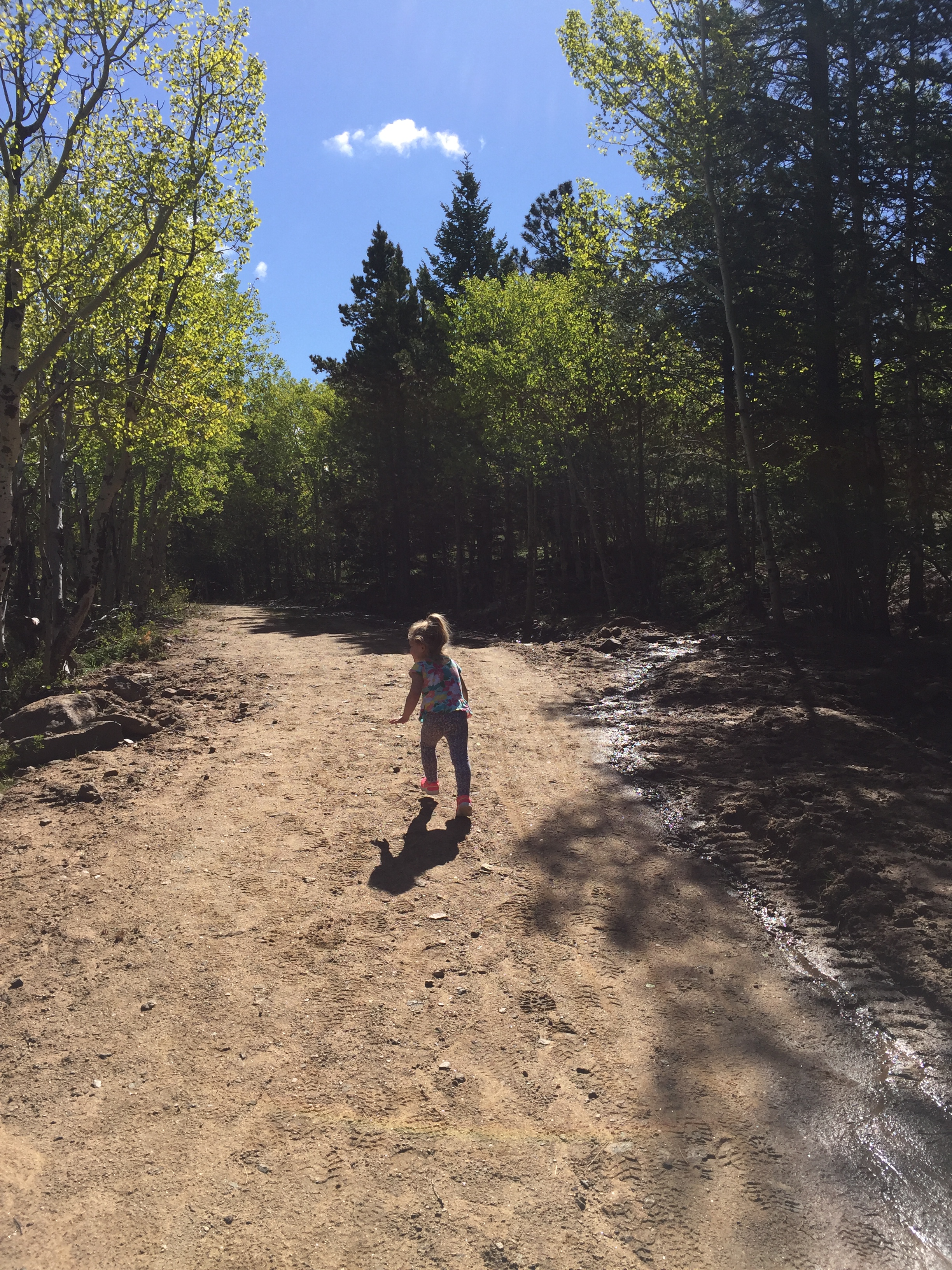 Homer Rouse trail. Dog friendly hike in Estes Park