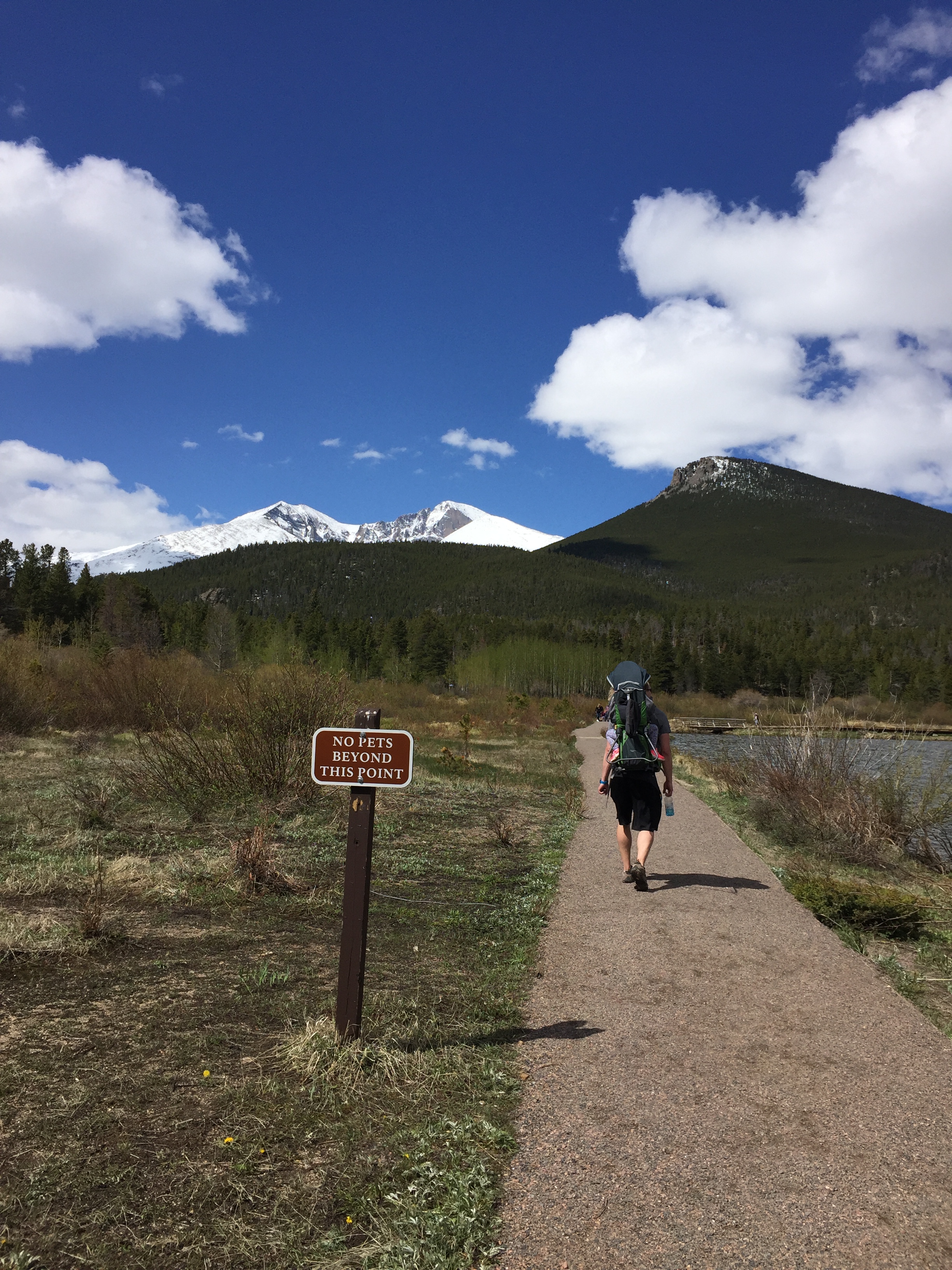 Lily Lake trail