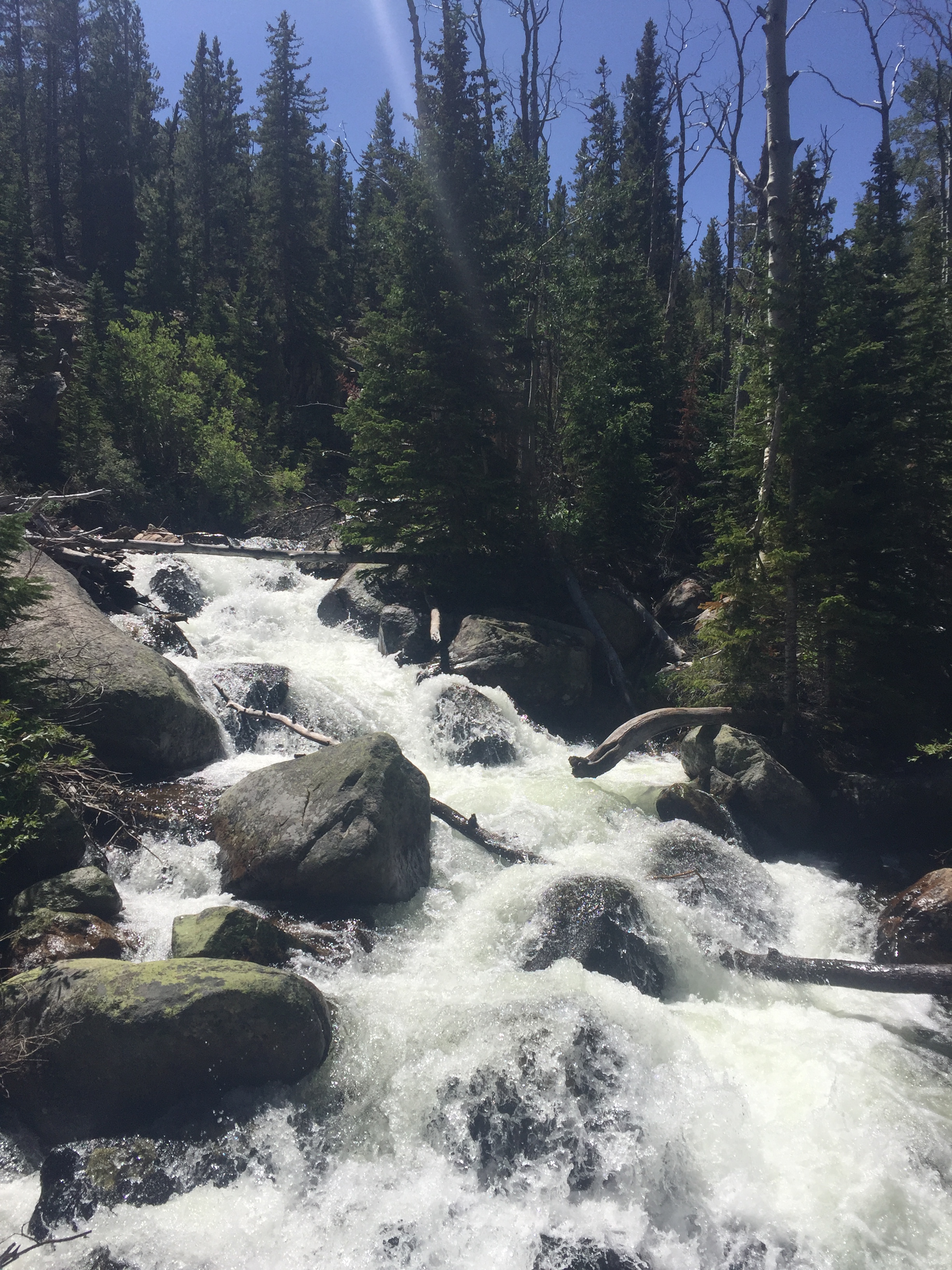 Roaring Mountain Stream in Rocky Mountain National Park