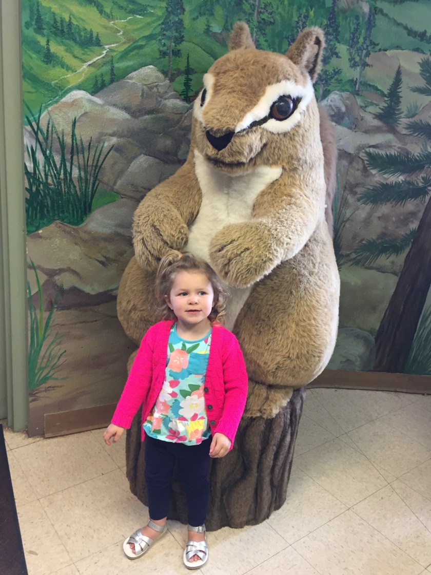 chipmunks estes park aerial tramway