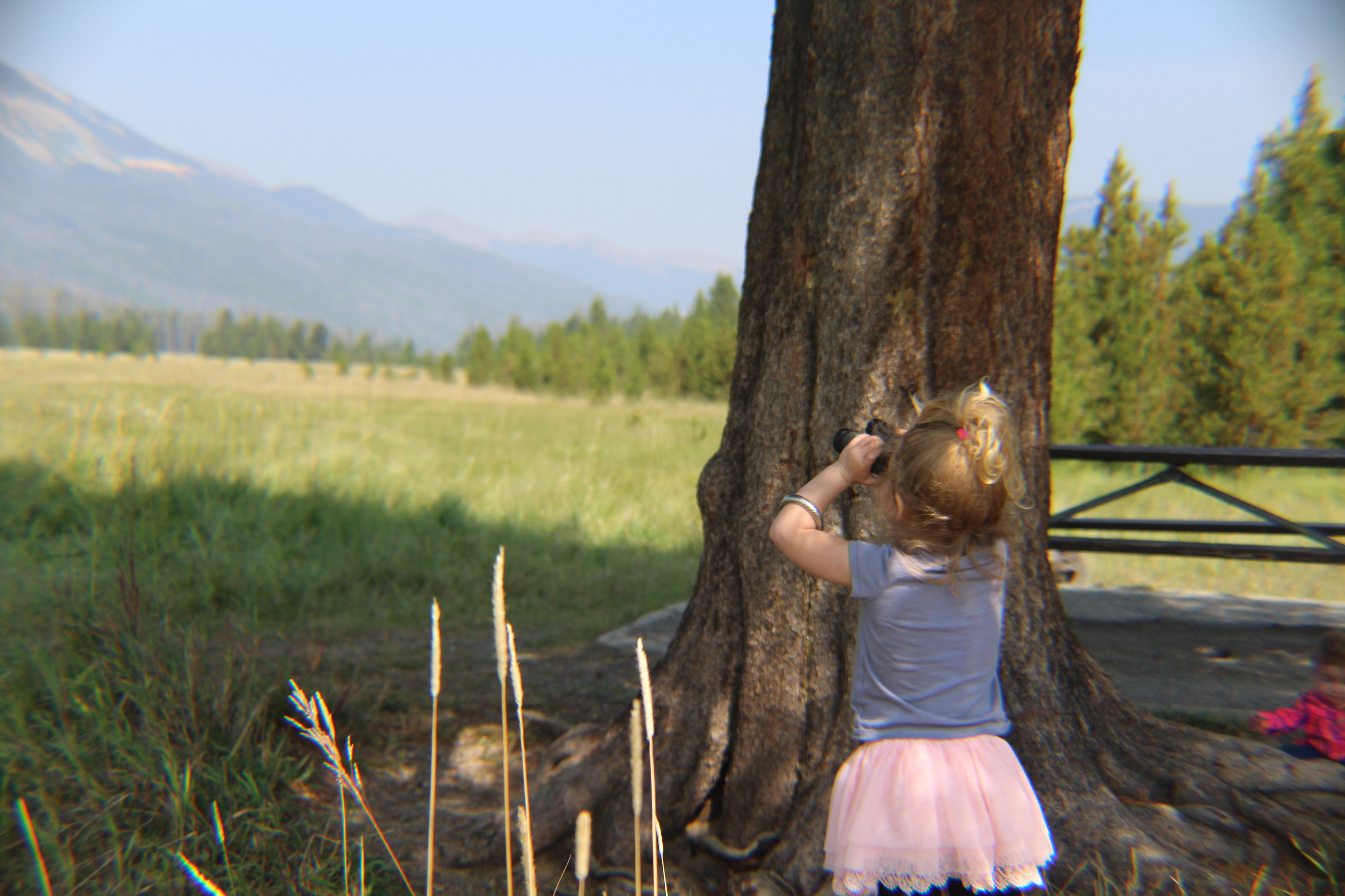 binoculars in Kawunechee Valley, Rocky Mountain National Park