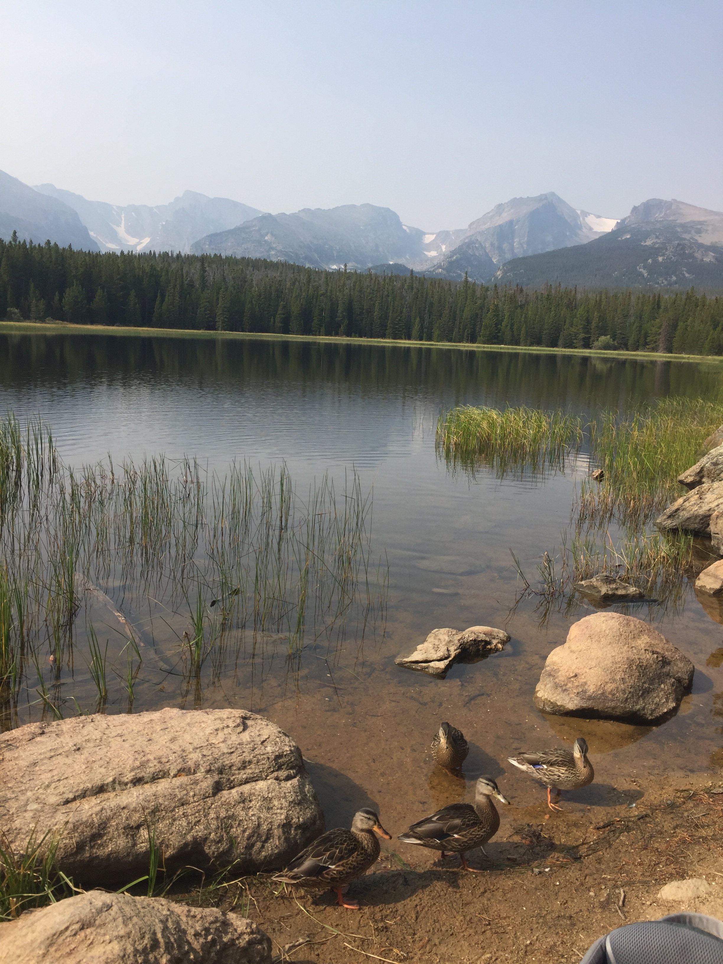 Bierstadt Lake in Rocky Mountain National Park