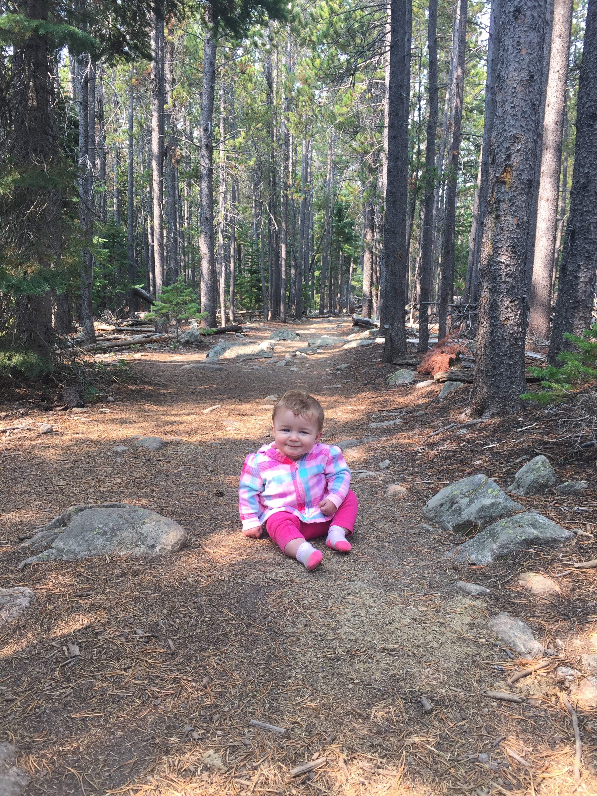 Bierstadt Lake trail - hiking with a baby