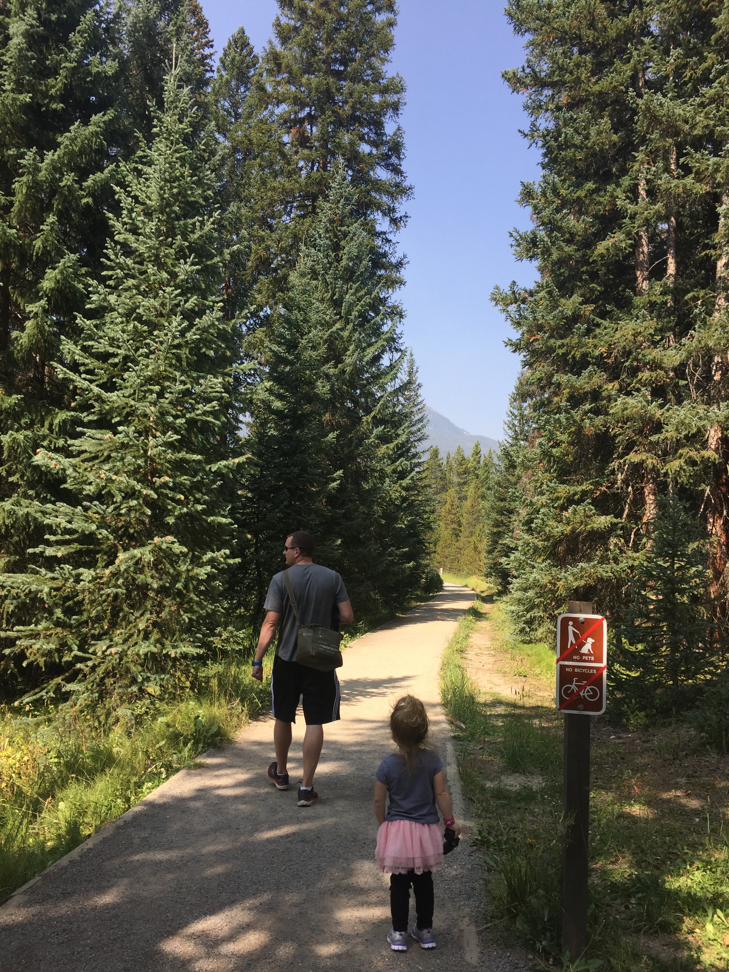 Coyote Valley Trail in Rocky Mountain National Park