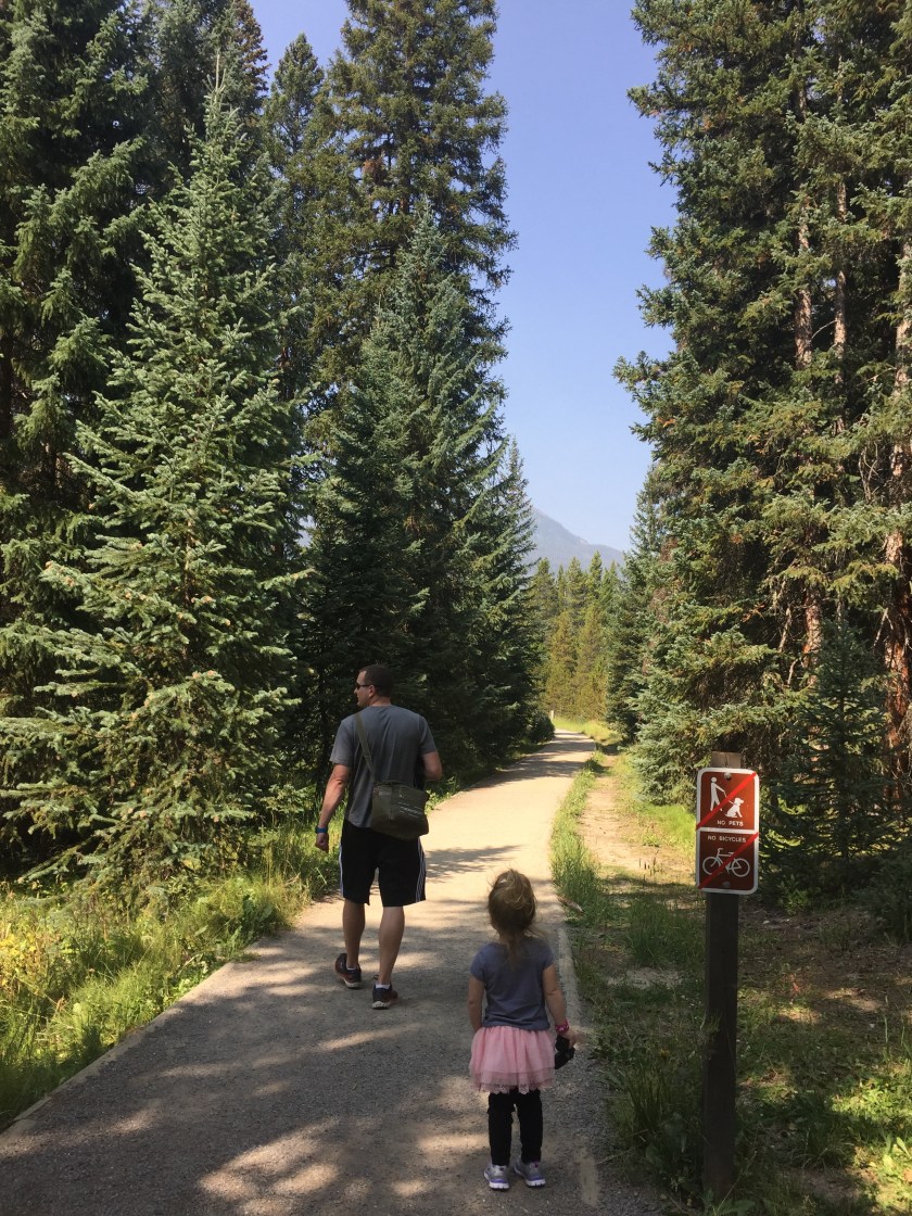 Coyote Valley Trail in Rocky Mountain National Park