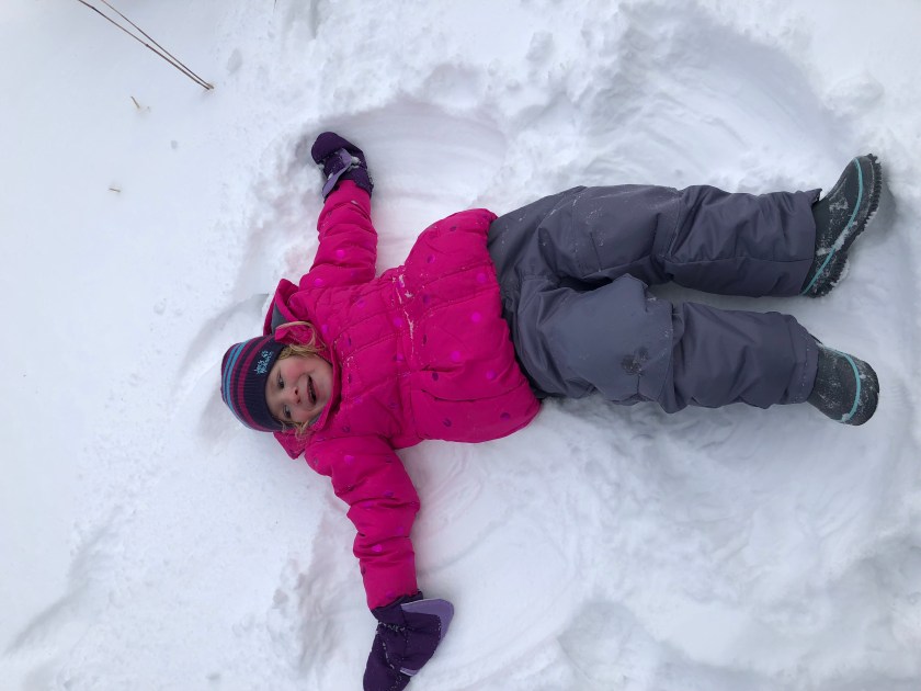lily lake in the snow