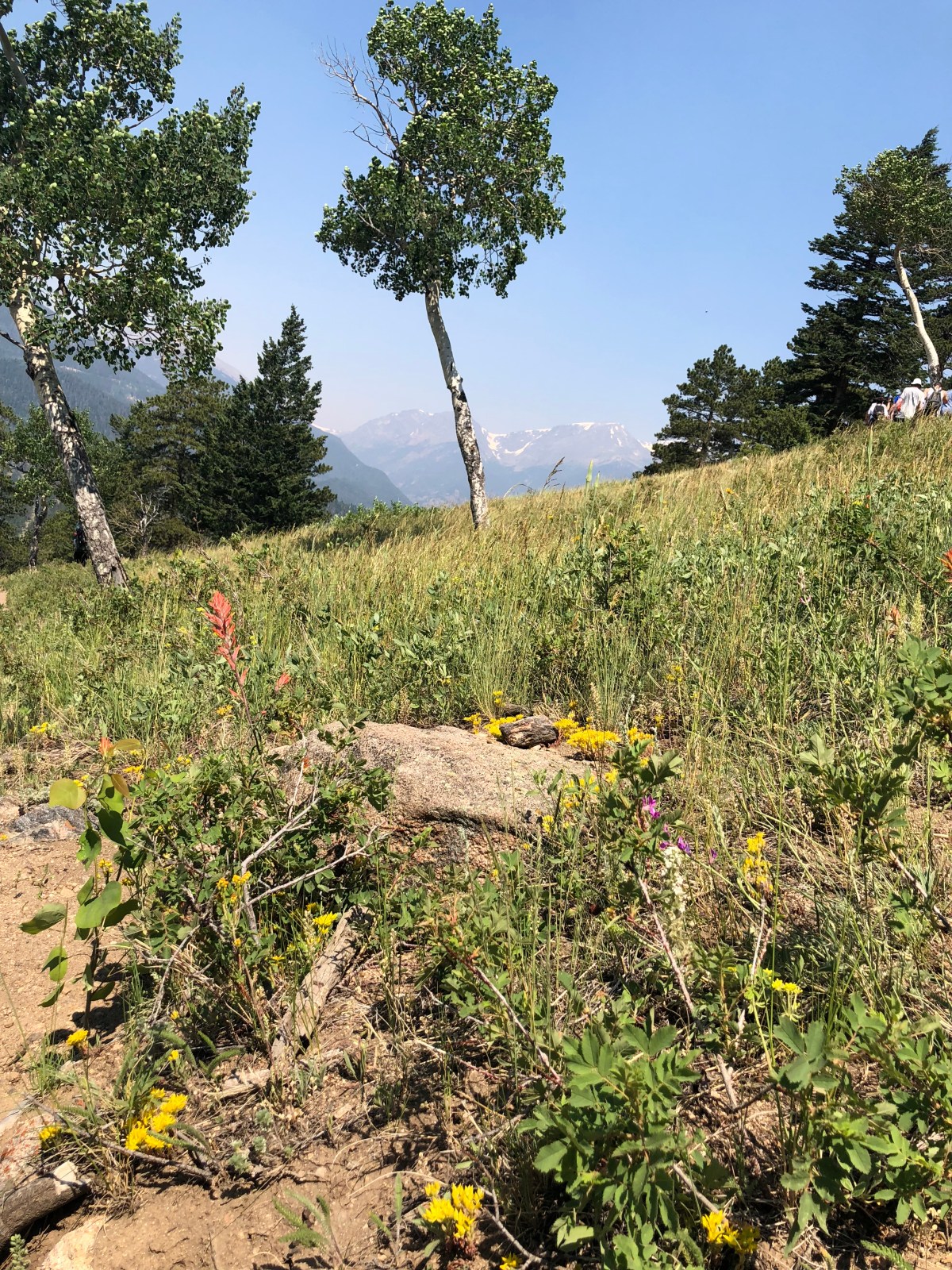 Deer Mountain – A Great Hiking and Horseback Riding Destination in Rocky Mountain National&nbsp;Park
