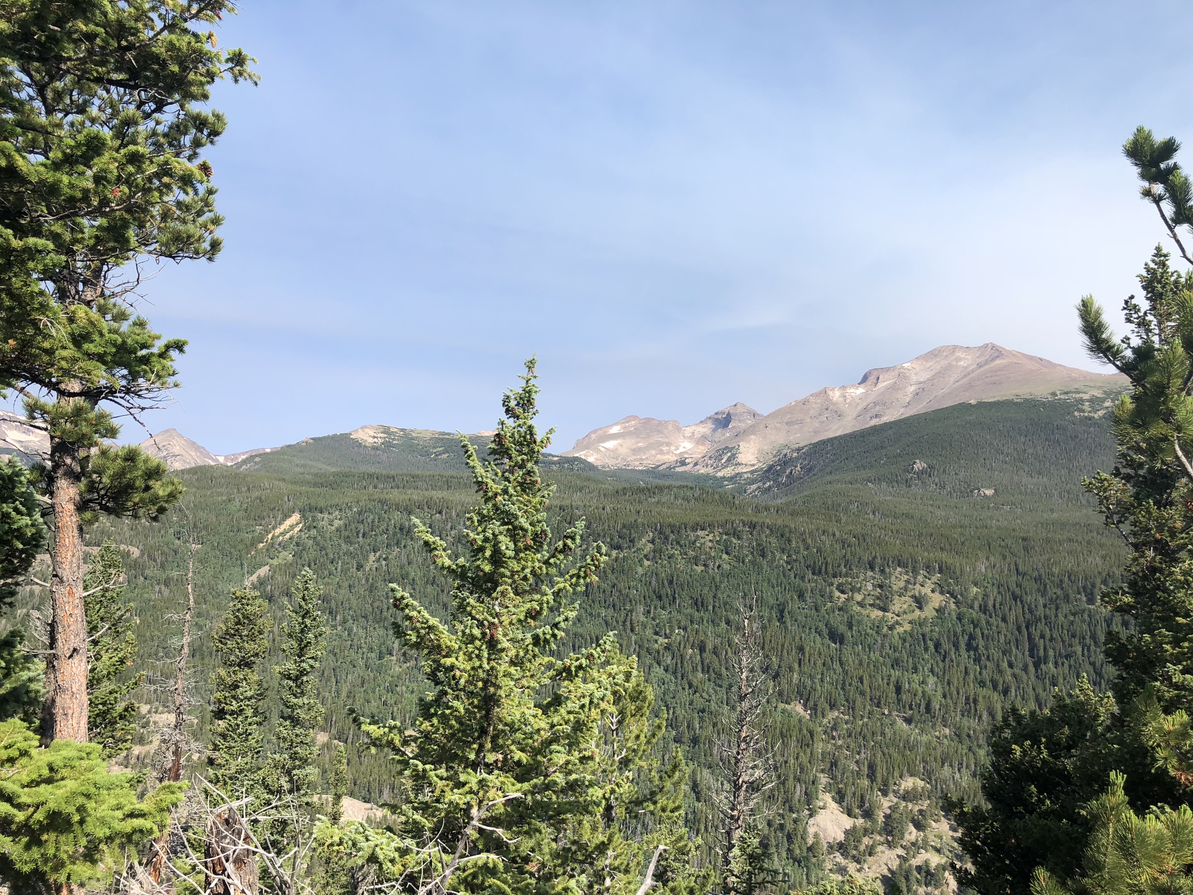 rocky mountain views in wild basin