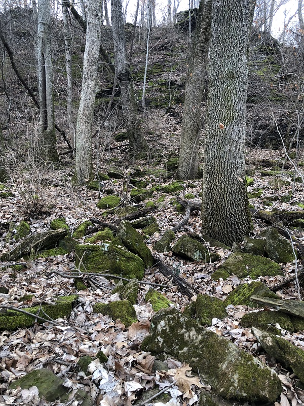Winter hiking northwest arkansas