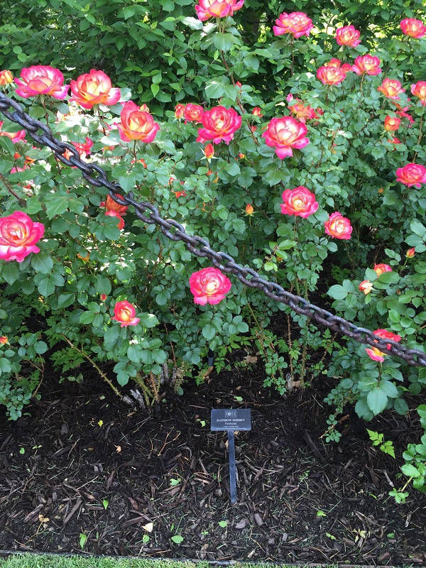 Loose Park is one of our favorite parks in Kansas City. It is located near the Plaza and has a great playground, rose garden and a beautiful pond. The homes that surround the park exude historic charm. 