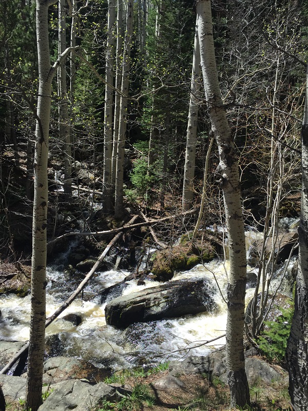 Mill Creek flows in Rocky Mountain National park