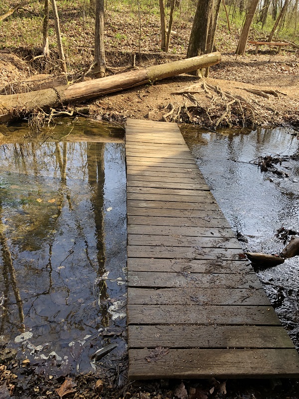 northwest arkansas creek hike