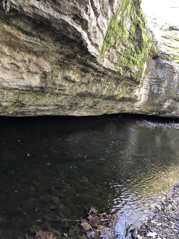 tanyard creek nature in bella vista arkansas