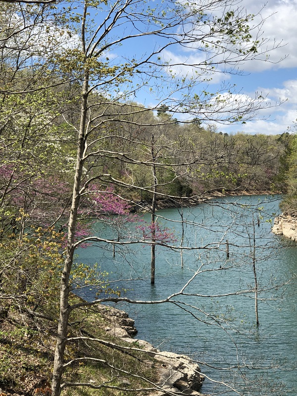 Hiking Pigeon Roost Trail in Arkansas’ Hobbs State&nbsp;Park