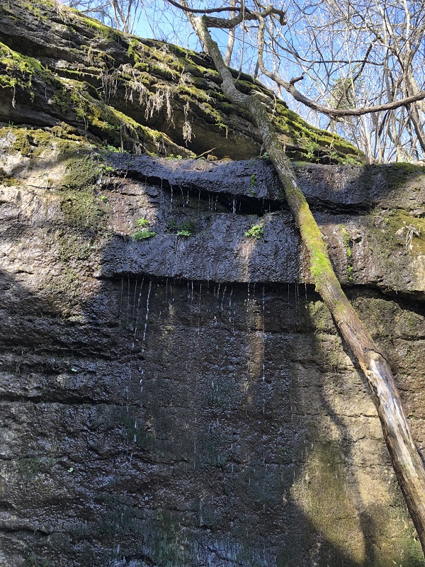 tanyard creek nature in bella vista arkansas. northwest arkansas hiking destination