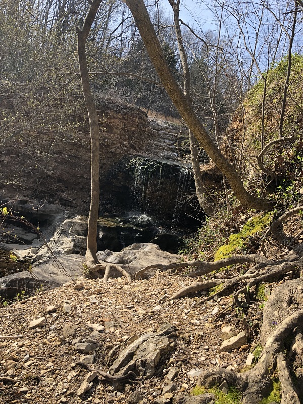 waterfall hike tanyard creek nature trail bella vista arkansas