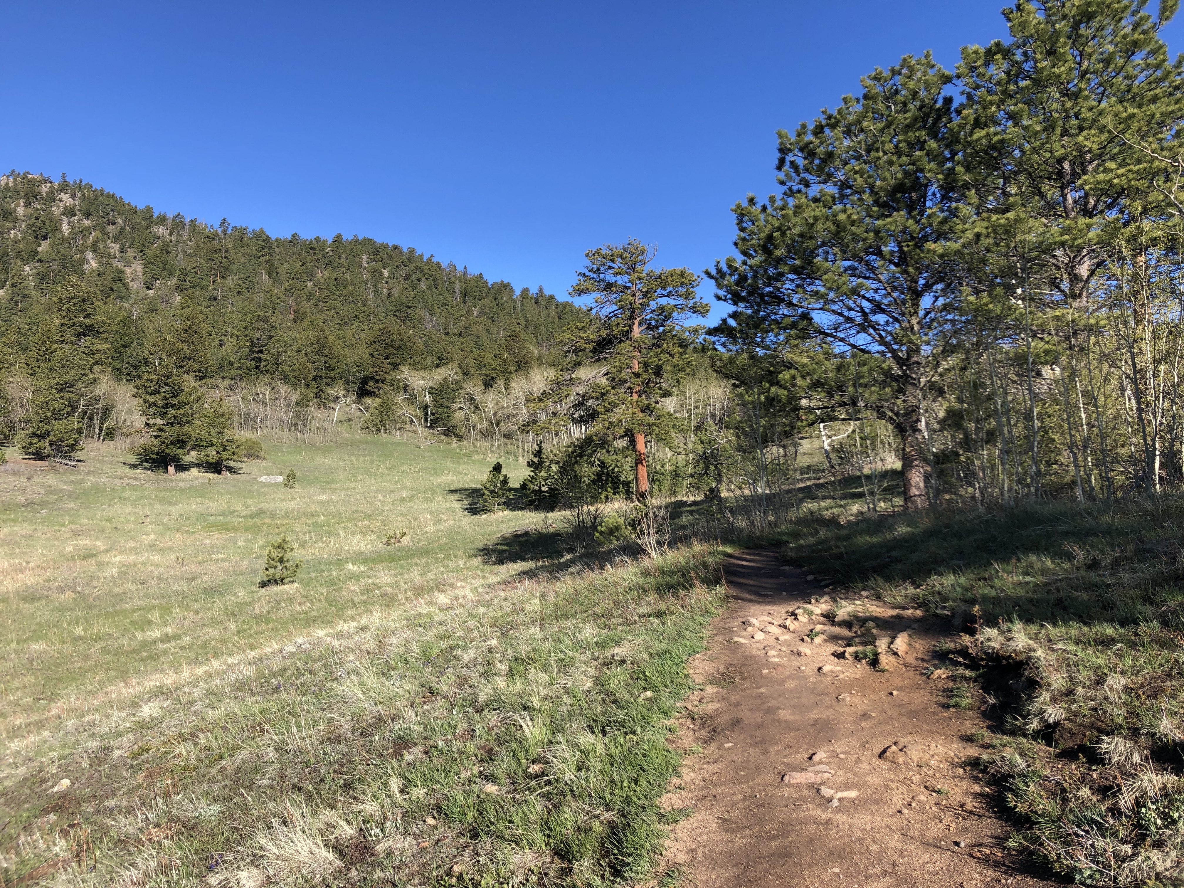 Kruger Rock Trail Colorado