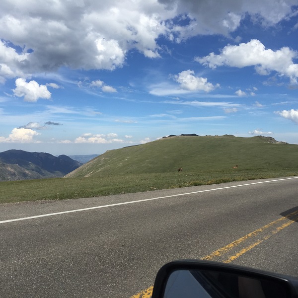 Trail Ridge Road Open for Season? or is Trail Ridge Road Closed?