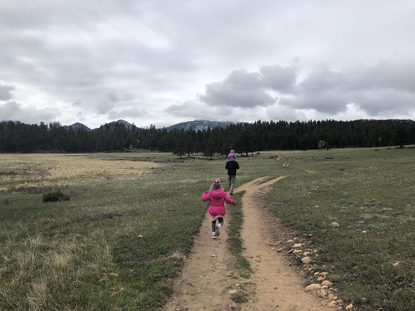 hiking Upper Beaver Meadows in Rocky Mountain National Park