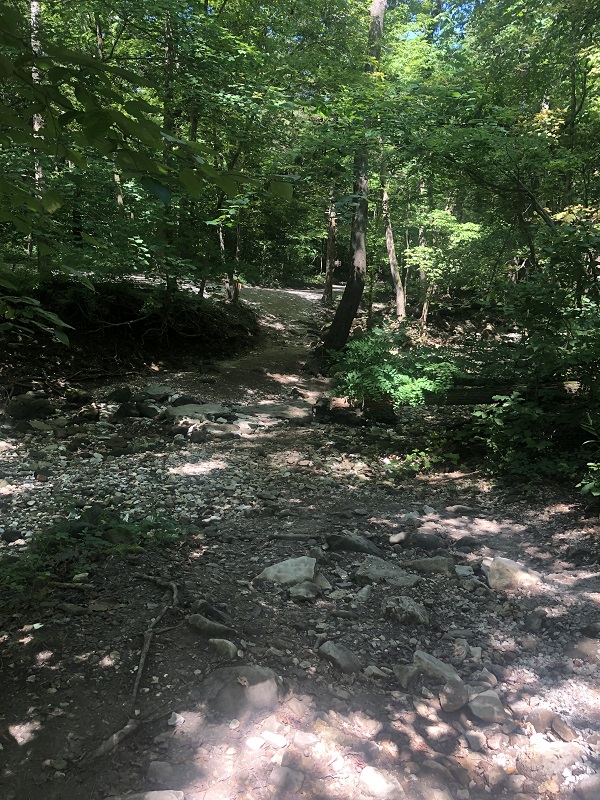 creek bed lost valley trail