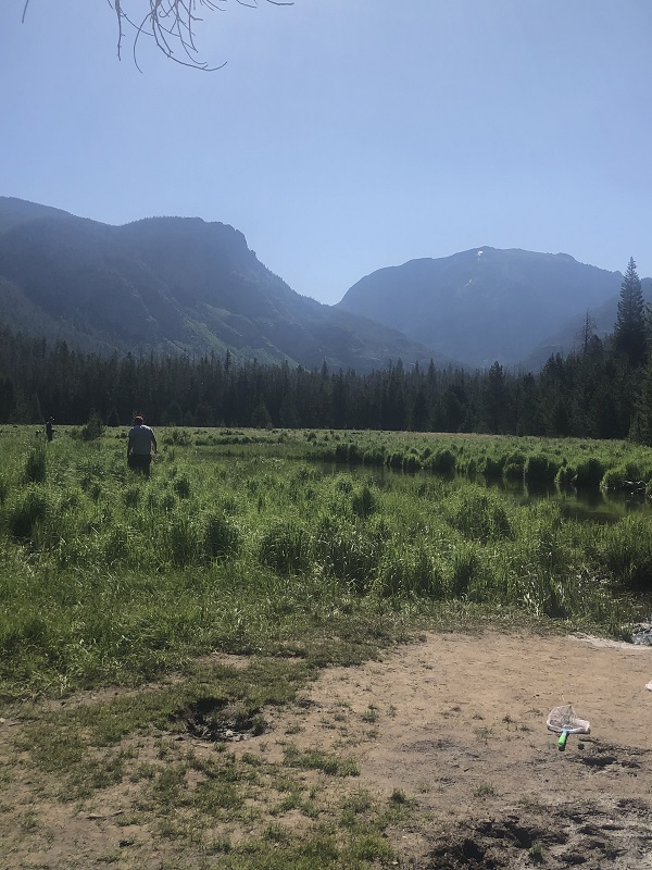 East Meadow is a good spot for fishing in Rocky Mountain National Park