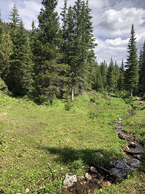 Quiet place within rocky mountain national park