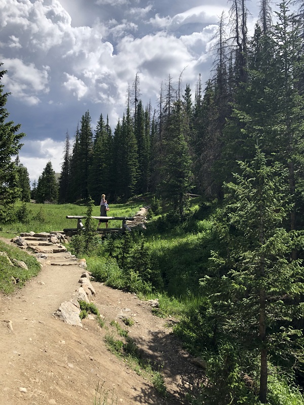 the trail around Lake Irene is surrounded by pine trees