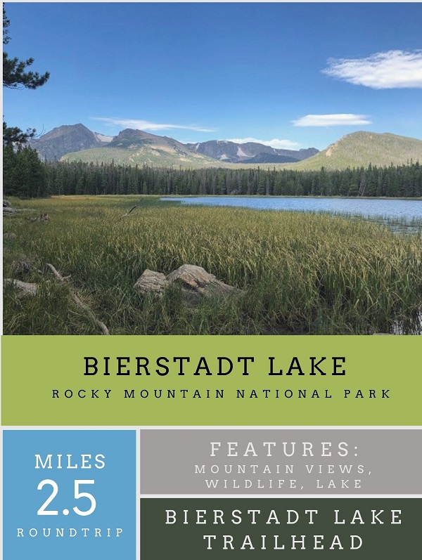 Bierstadt Lake hike in rocky mountain national park. hike under 3 miles. features mountain views, wildlife spot in rocky mountain national park, moose