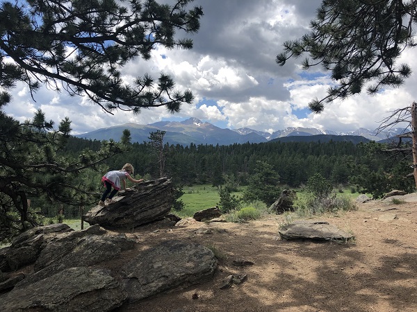 Upper Beaver Meadows picnic