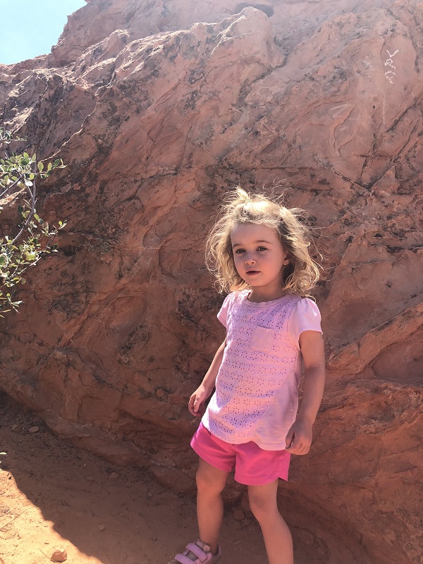 Unique Red Rock Formations in Garden of the Gods