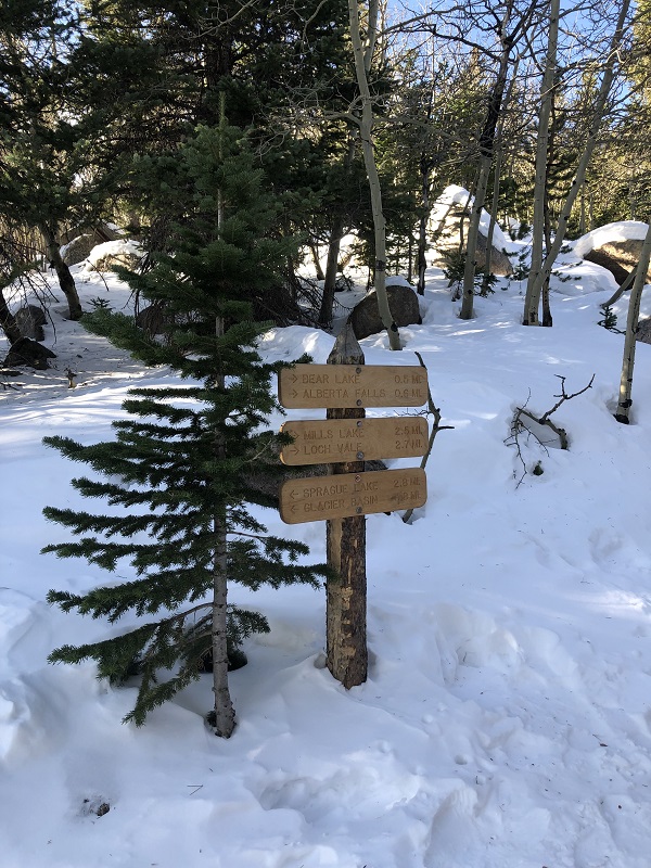 trail signage to alberta falls and bear lake in rocky mountain national park.