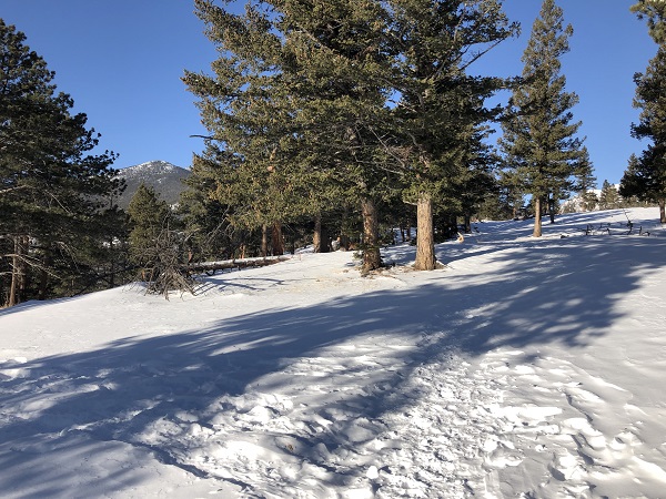 Hiking in the snow in Rocky Mountain National Park