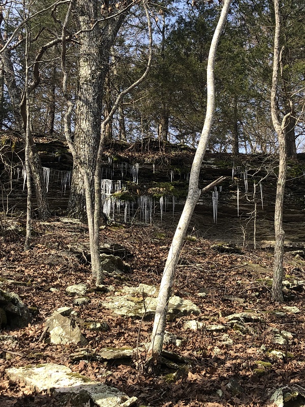 Winter hiking in Devil's Den State Park