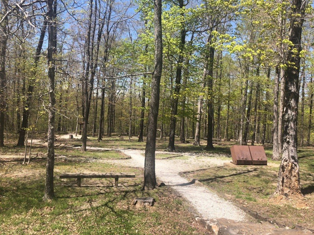 Alum Cove Recreation Area