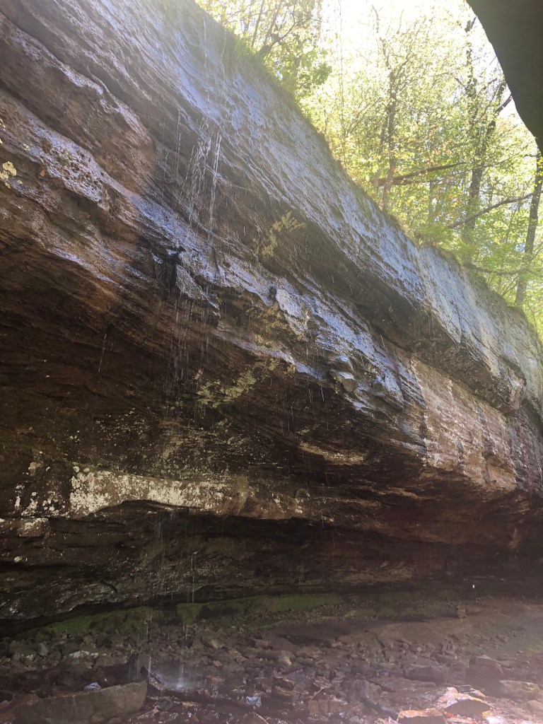 alum cove natural bridge