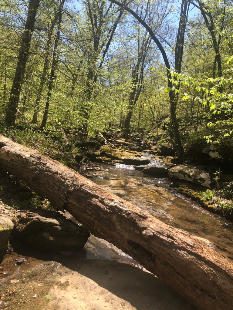 Alum Cove Recreational Area. Arkansas National Forest