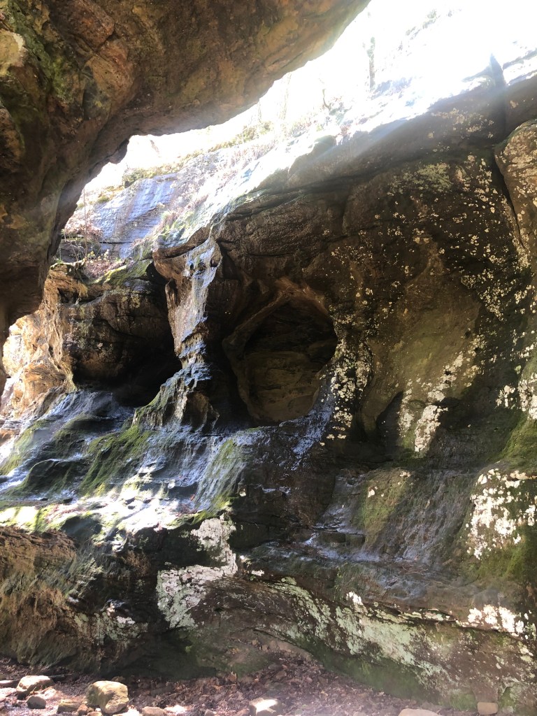 Cave on loop trail. Alum Cove.