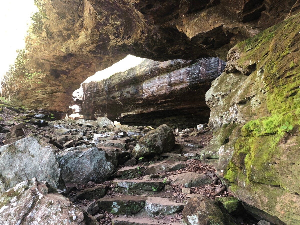 Hiking Arkansas: Alum Cove&nbsp;Trail
