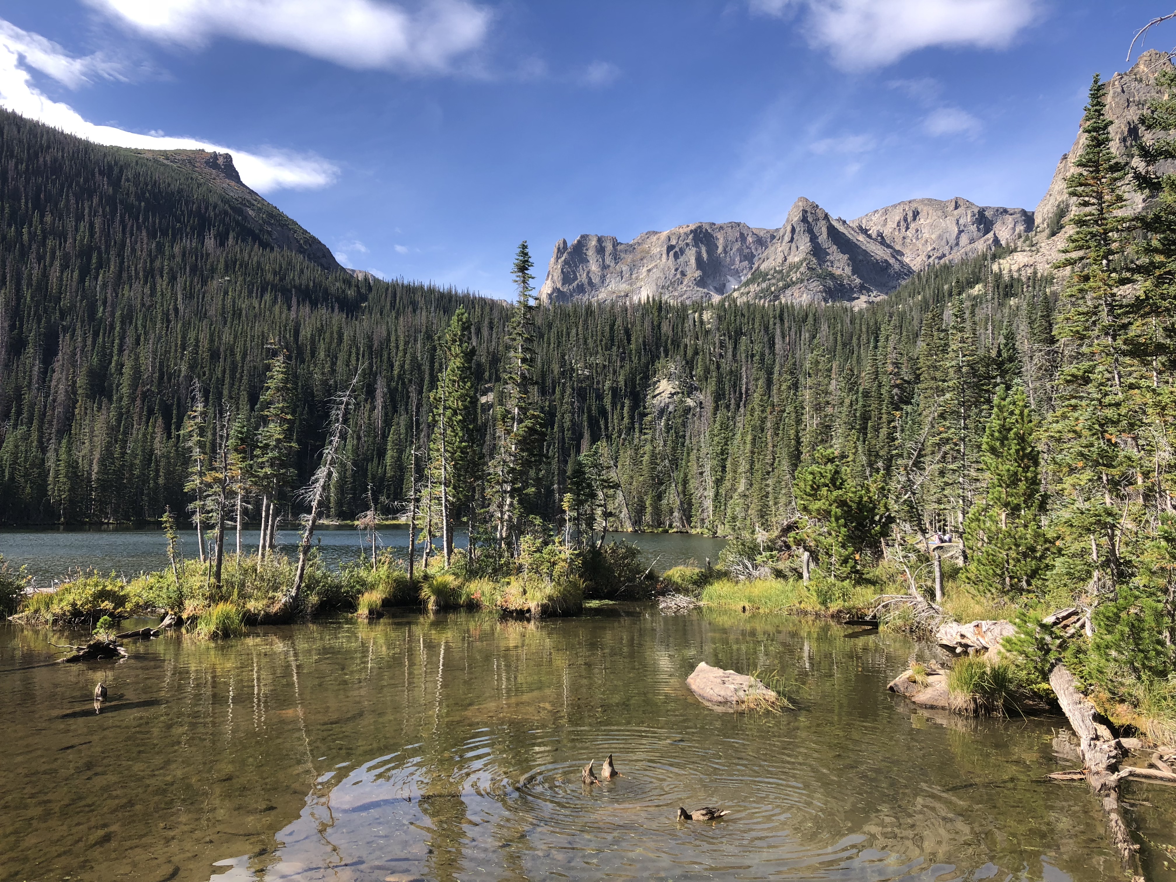 Rocky Mountain National Park Entrance Fee and Other Helpful Things to