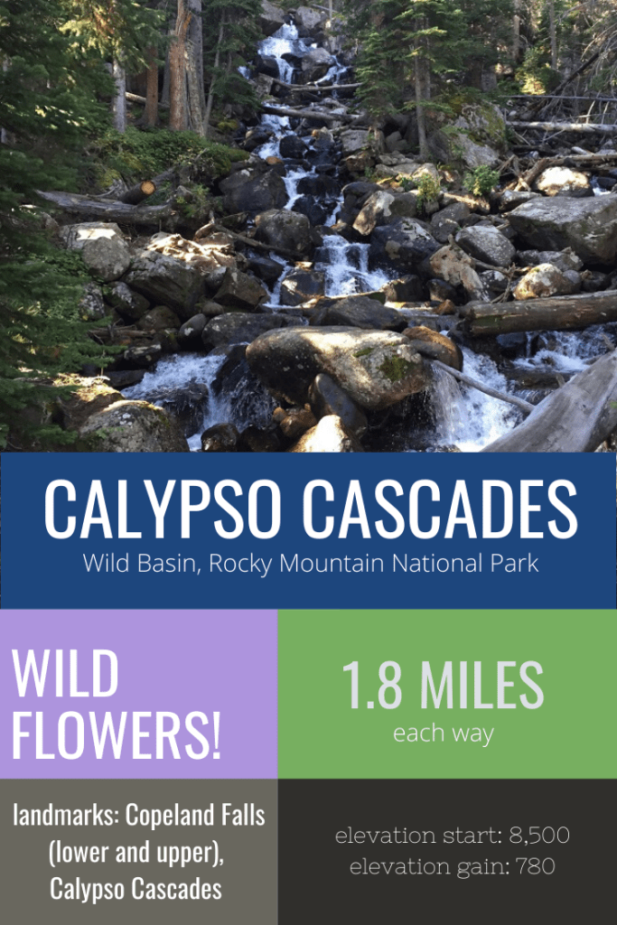 Calypso Cascades is a short hike in Rocky Mountain National Park's Wild Basin. Calypso Cascades hike features waterfalls and wild flowers.