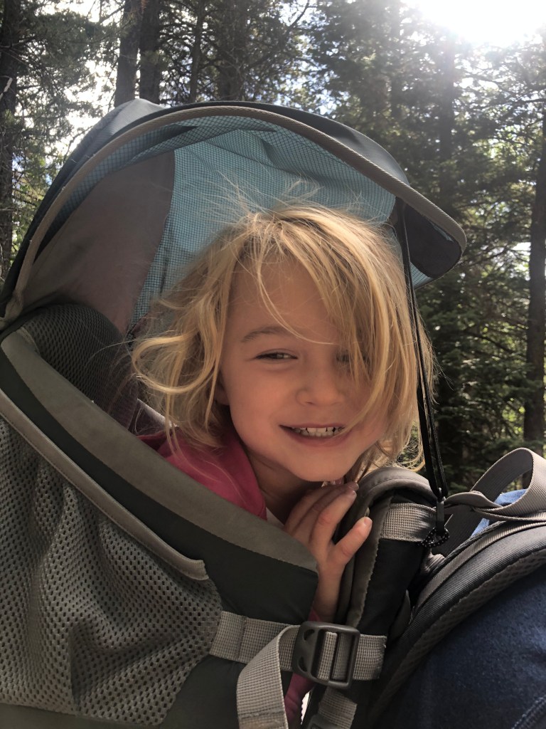 Kid Carrier for hiking 