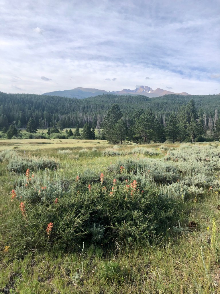 Mountain Views. Hollowell Park in Rocky Mountain National Park. To Mill Creek Basin. Loop trail